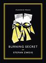 edition cover - Burning secret