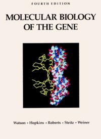 Molecular Biology of the Gene cover