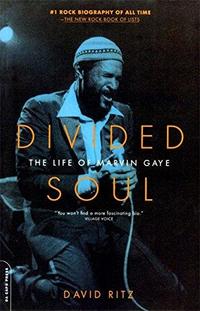 Divided Soul cover