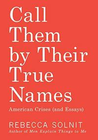 Call Them by Their True Names: American Crises (and Essays) cover