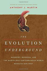 The Evolution Underground