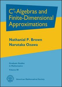 C*-algebras and finite-dimensional approximations