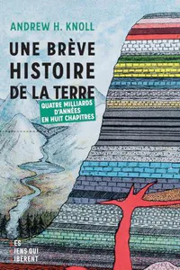 Une brève histoire de la Terre