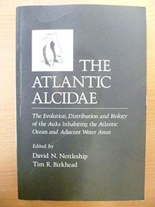 Atlantic Alcidae