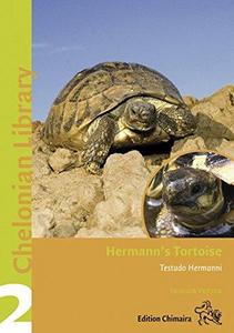 Hermann's tortoise, Boettger's and dalmation tortoises : Testudo boettgeri, hercegovinensis and hermanni