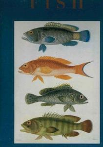 Fish Classic Natural History Prints