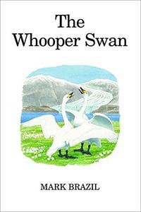 The whooper swan