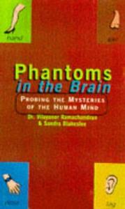 Phantoms in the Brain