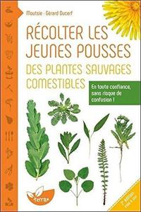 Recolter les jeunes pousses des plantes sauvages