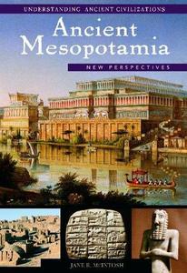 Ancient Mesopotamia : new perspectives
