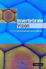 Invertebrate vision