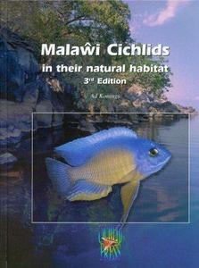 Malaŵi cichlids in their natural habitat