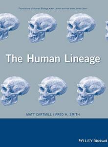 The human lineage