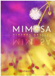 Mimosa