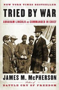 Tried by war : Abraham Lincoln as Commander in Chief