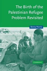 The Birth of the Palestinian Refugee Problem Revisited