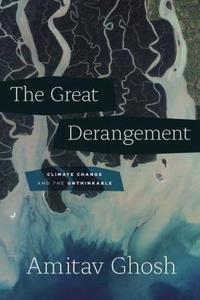 The Great Derangement cover