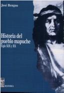 Historia del pueblo mapuche