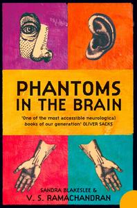 Phantoms in the Brain