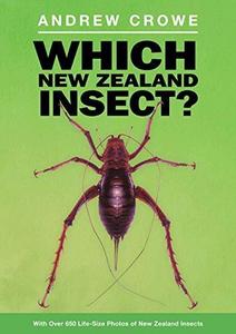 Which New Zealand insect? : with over 650 life-size photos of New Zealand insects