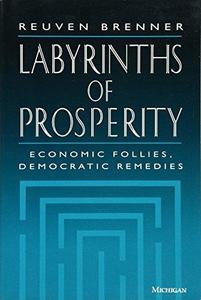 Labyrinths of Prosperity: Economic Follies, Democratic Remedies