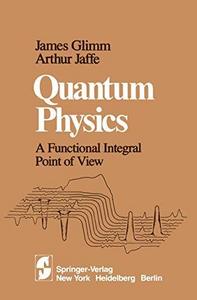 Quantum Physics : A Functional Integral Point of View