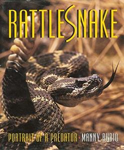 Rattlesnake : portrait of a predator