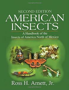 American insects : a handbook of the insects of America north of Mexico