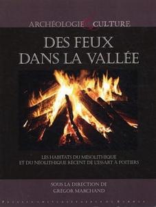 Des feux dans la vallée: les habitats du mésolithique et du néolithique récent de l'Essart à Poitiers, Vienne