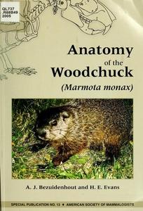 Anatomy of a Woodchuck