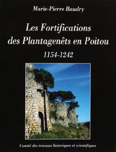 Les fortifications des Plantagenêts en Poitou 1154-1242