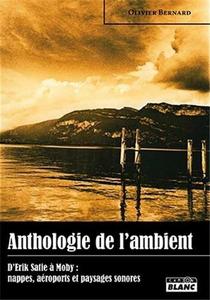 Anthologie de l'ambient : D'Erik Satie à Moby : nappes, aéroports et paysages sonores