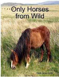 Only Horses from Wild