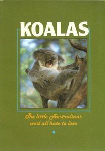 Koalas : The Little Australians We'd All Hate to Lose