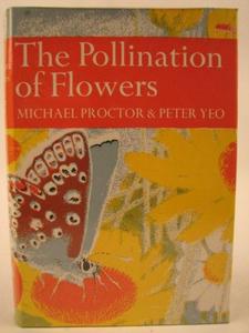 The pollination of flowers