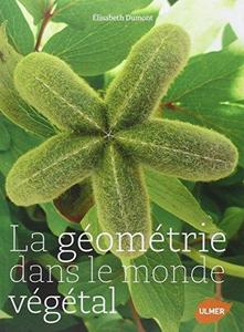 La géométrie dans le monde végétal