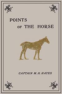 Points of the Horse