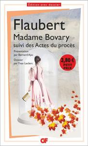 Madame Bovary : moeurs de province ...