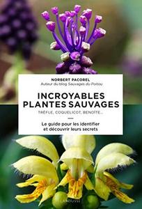 Incroyables plantes sauvages - Trèfle, coquelicot, benoîte... Le guide pour les identifier et découvrir leurs secrets