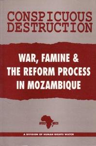 Conspicuous destruction : war, famine and the reform process in Mozambique