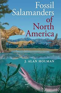 Fossil salamanders of North America