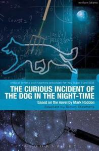 The Curious Incident of the Dog in the Night-Time: The Play (Critical Scripts)