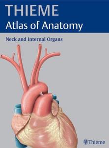 Neck and Internal Organs