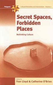 Secret spaces, forbidden places : rethinking culture