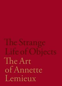 The strange life of objects