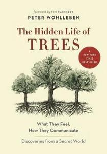 The Hidden Life of Trees