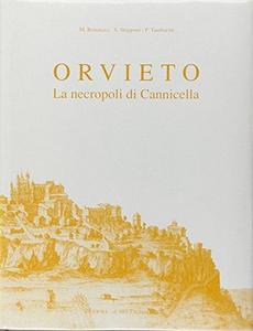 Orvieto : la necropoli di Cannicella, scavi della Fondazione per il Museo "C. Faina" e dell'Università di Perugia, 1977