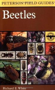 A Field Guide to the Beetles of North America