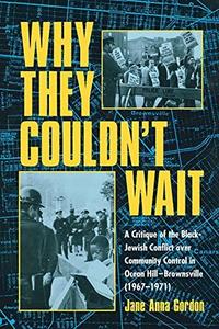 Why They Couldn't Wait : A Critique of the Black-Jewish Conflict Over Community Control in Ocean-Hill Brownsville, 1967-1971