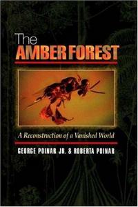 The amber forest